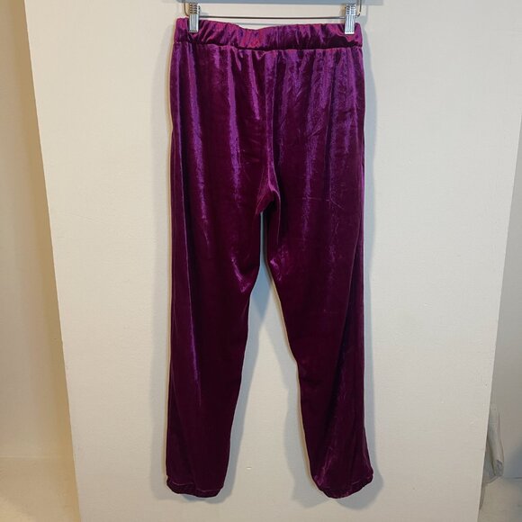 Zara Trafaluc Velvet Pants - Picture 4 of 5